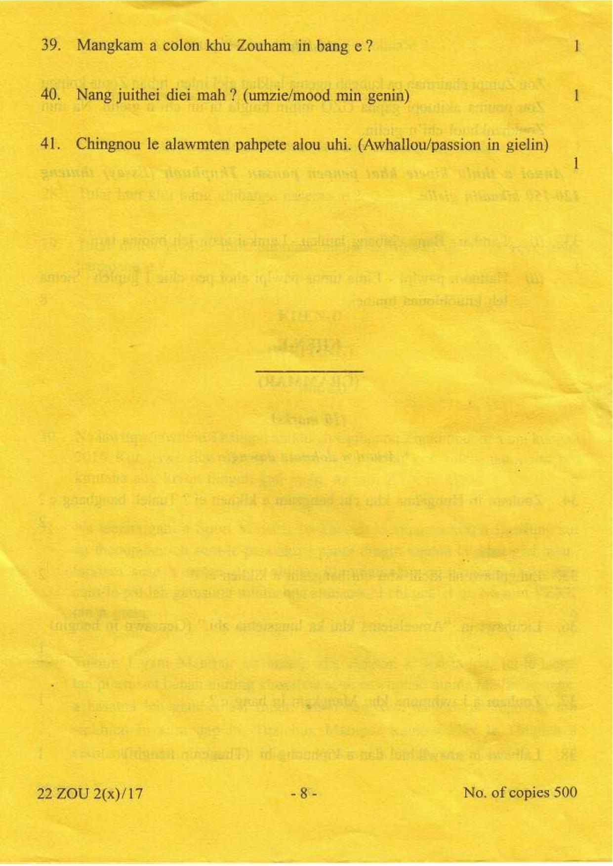 COHSEM Class 12 Zou (M.I.L.) 2017 Question Papers - Page 8