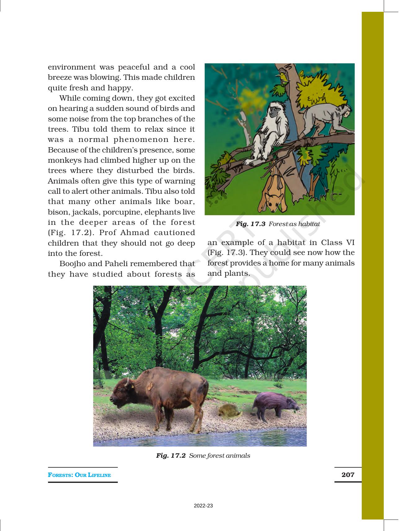 NCERT Book for Class 7 Science: Chapter 17-Forests: Our Lifeline - Page 2