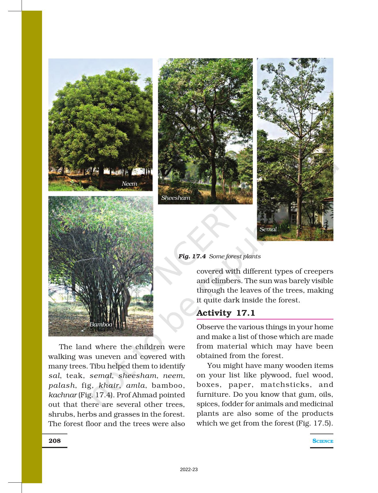 NCERT Book for Class 7 Science: Chapter 17-Forests: Our Lifeline - Page 3