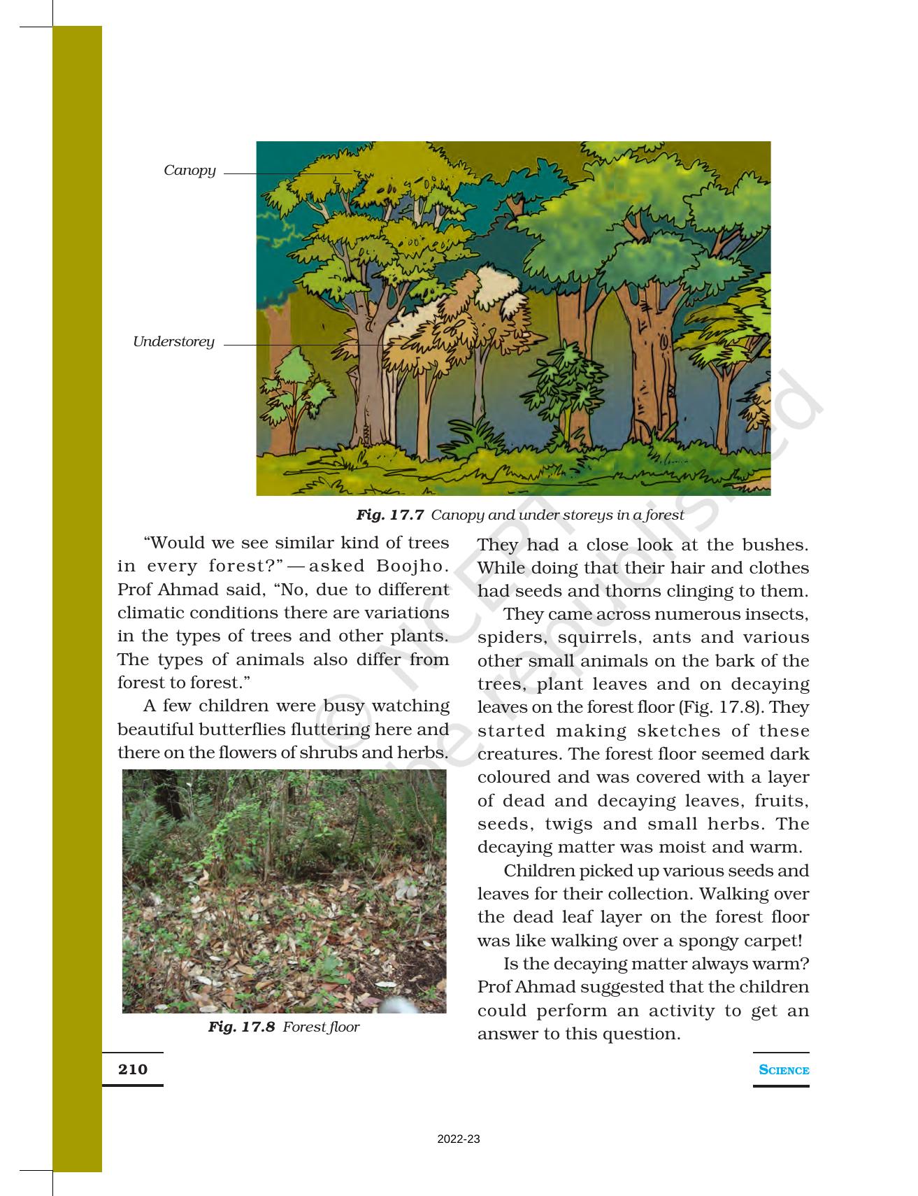 NCERT Book for Class 7 Science: Chapter 17-Forests: Our Lifeline - Page 5