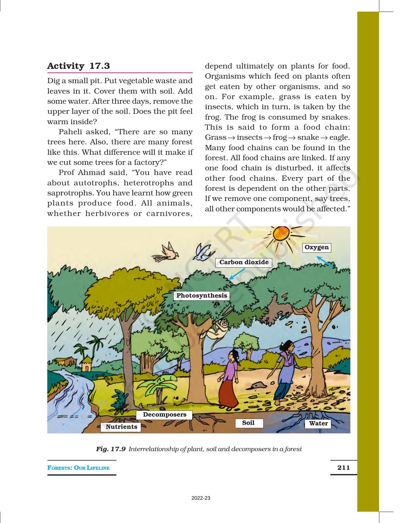 NCERT Book for Class 7 Science: Chapter 17-Forests: Our Lifeline - Page 6