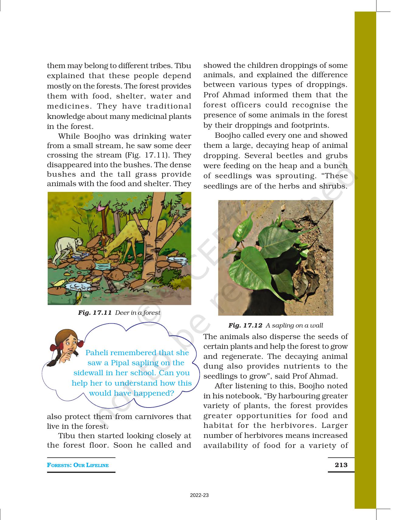 NCERT Book for Class 7 Science: Chapter 17-Forests: Our Lifeline - Page 8