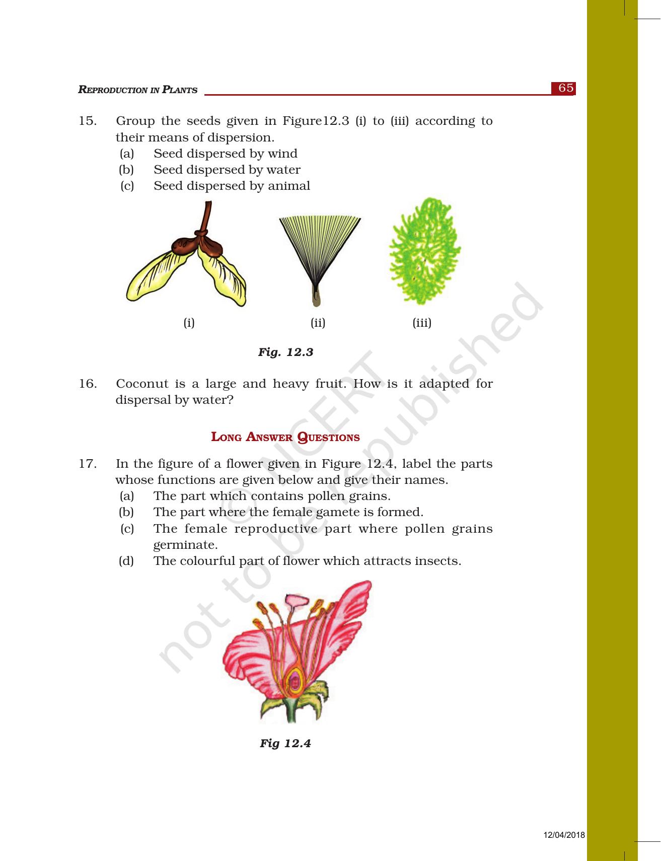 NCERT Exemplar Book for Class 7 Science: Chapter 12-Reproduction in Plants - Page 4