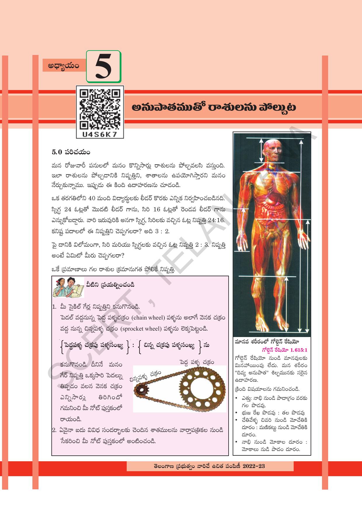 TS SCERT Class 8 Maths Path 1 (Telugu Medium) Text Book - Page 150