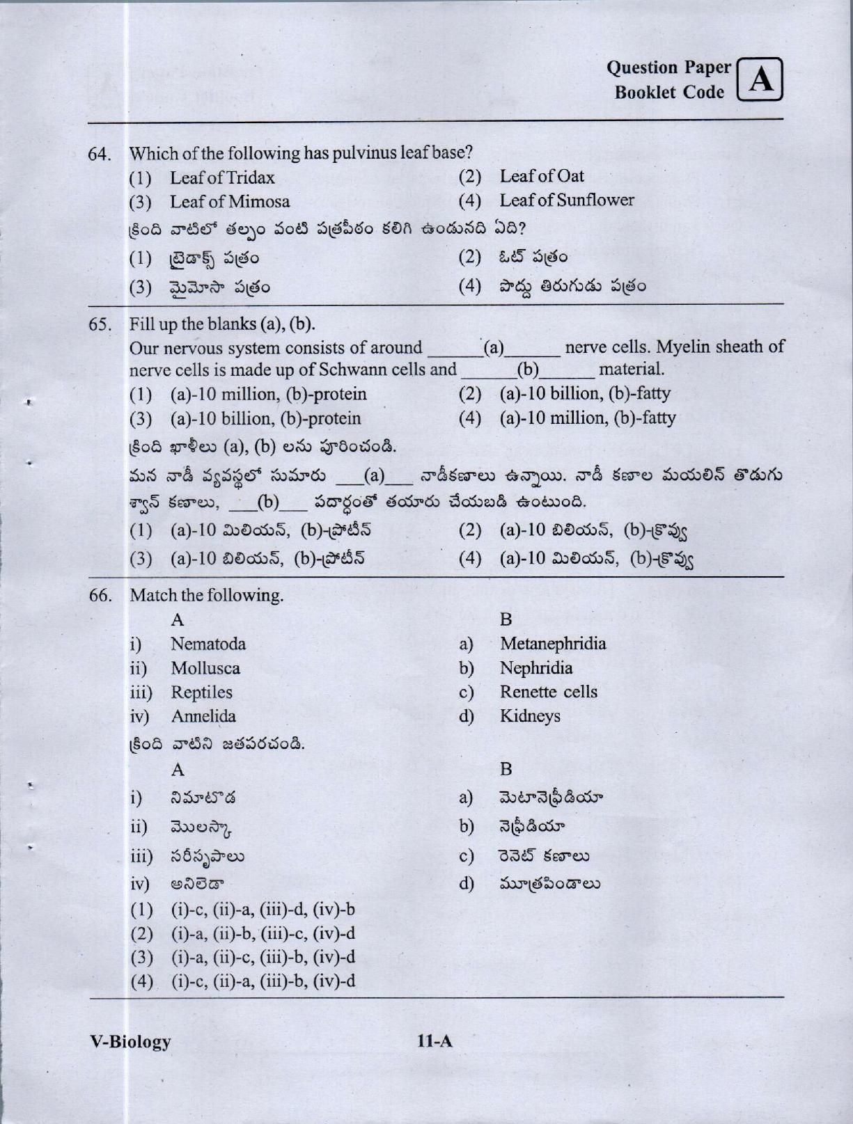 BiPC/ CGT English/ Telugu Medium (Set A) 2023  - Page 10