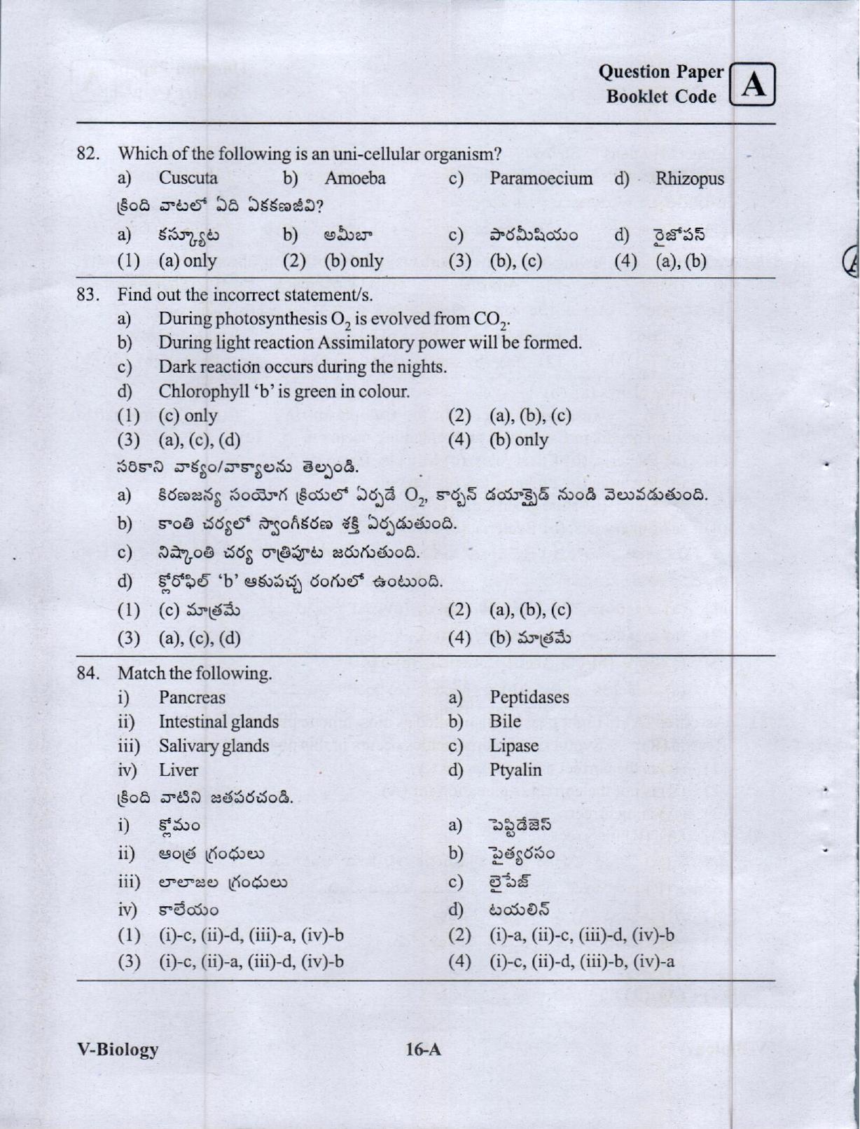 BiPC/ CGT English/ Telugu Medium (Set A) 2023  - Page 15