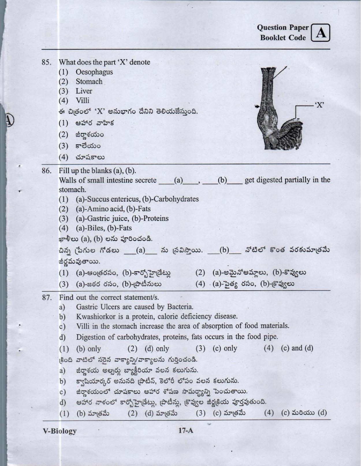 BiPC/ CGT English/ Telugu Medium (Set A) 2023  - Page 16