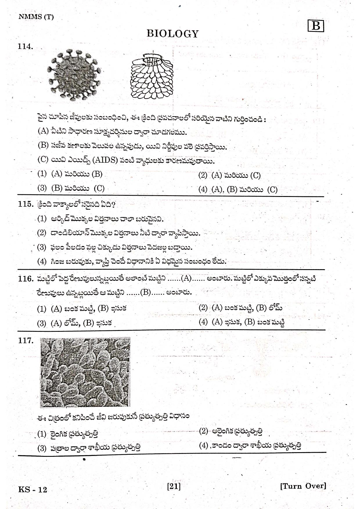 NMMS Feb 2021 - Booklet Code-B (Telugu Medium) - Page 19