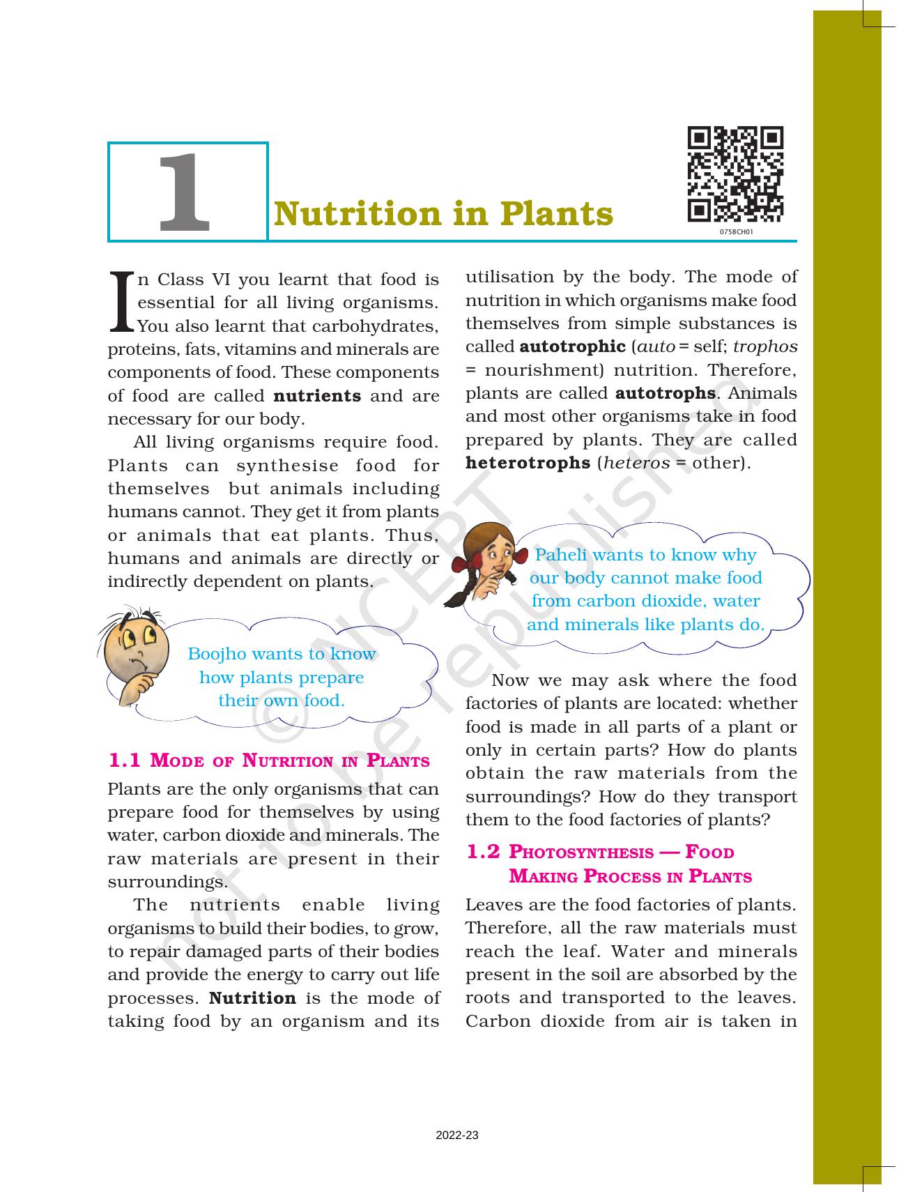 NCERT Book for Class 7 Science: Chapter 1-Nutrition in Plants - Page 1