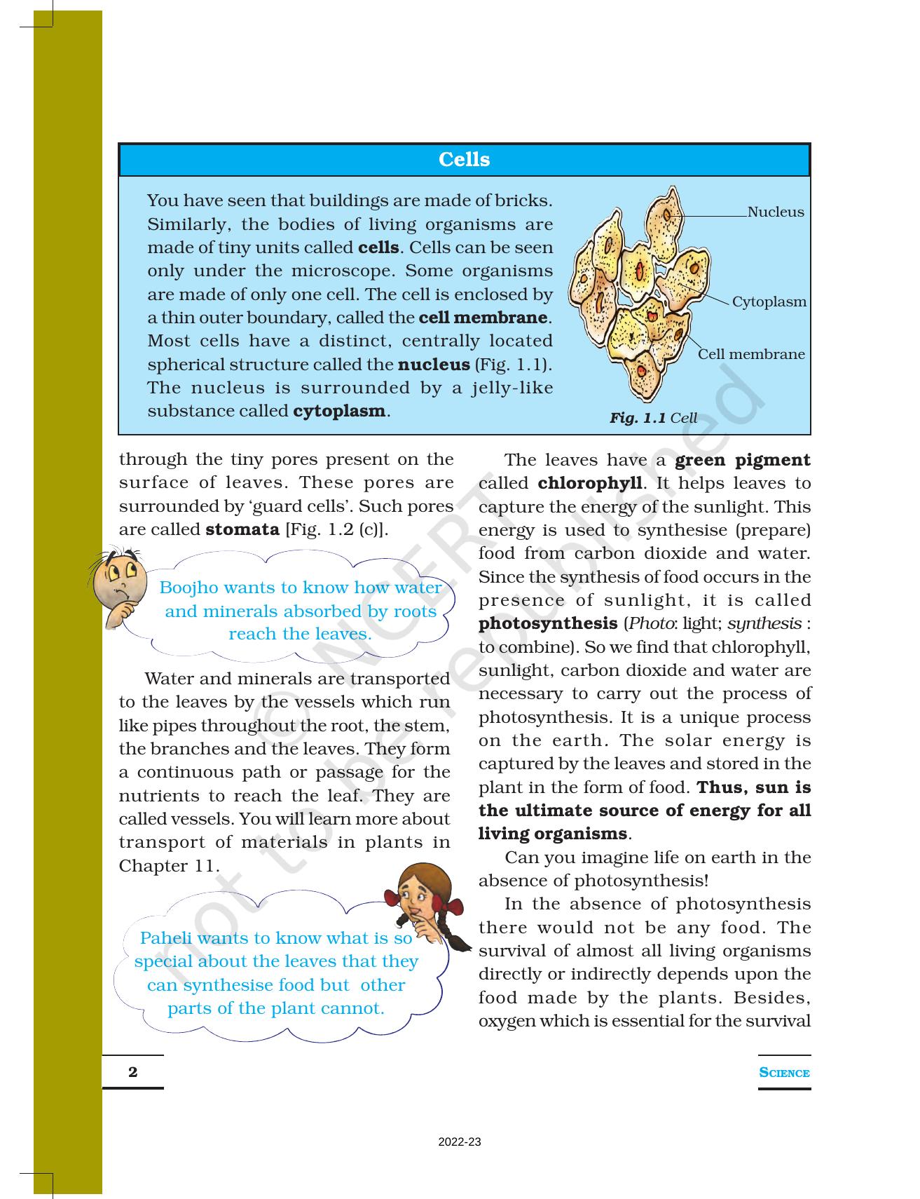 NCERT Book for Class 7 Science: Chapter 1-Nutrition in Plants - Page 2