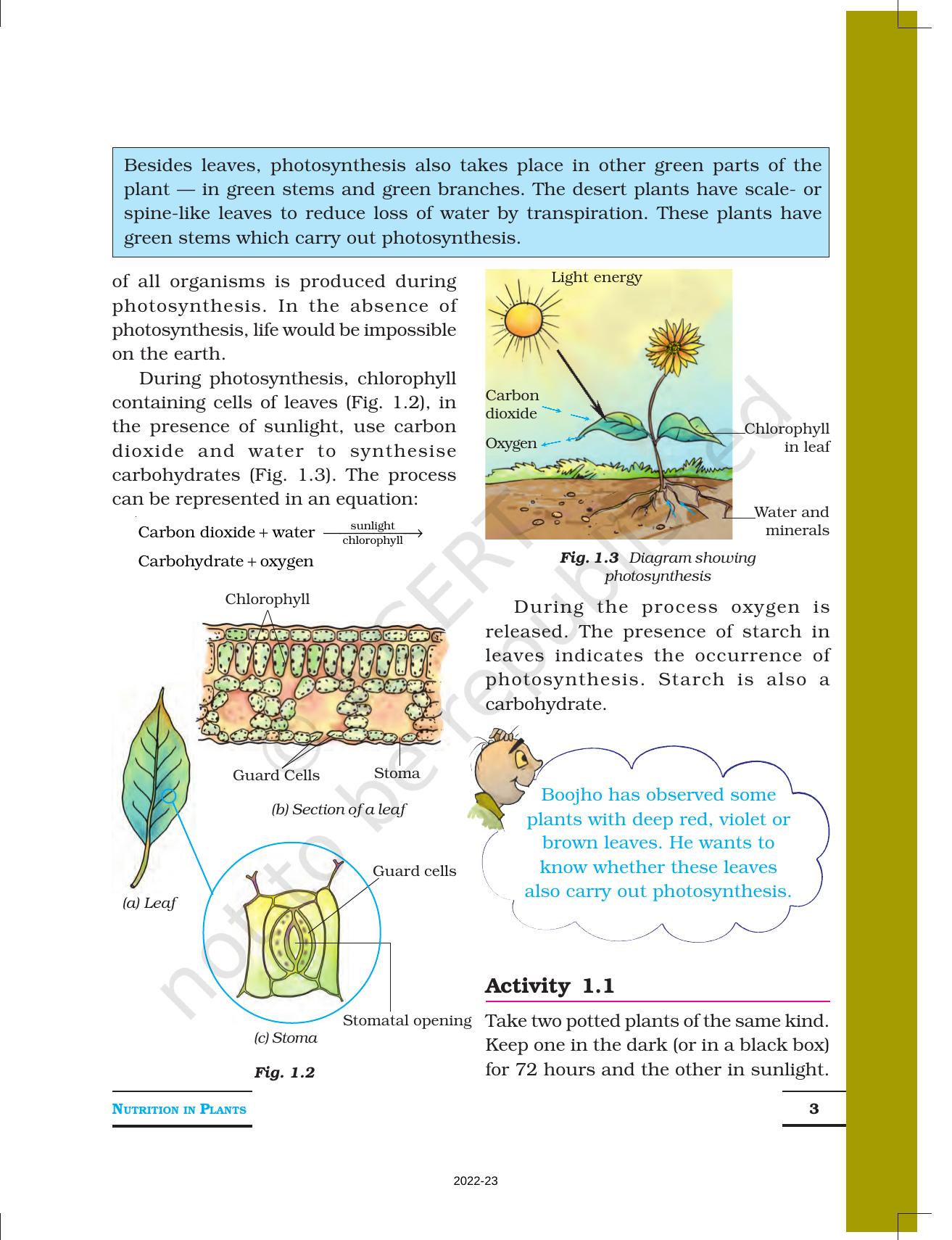 NCERT Book for Class 7 Science: Chapter 1-Nutrition in Plants - Page 3