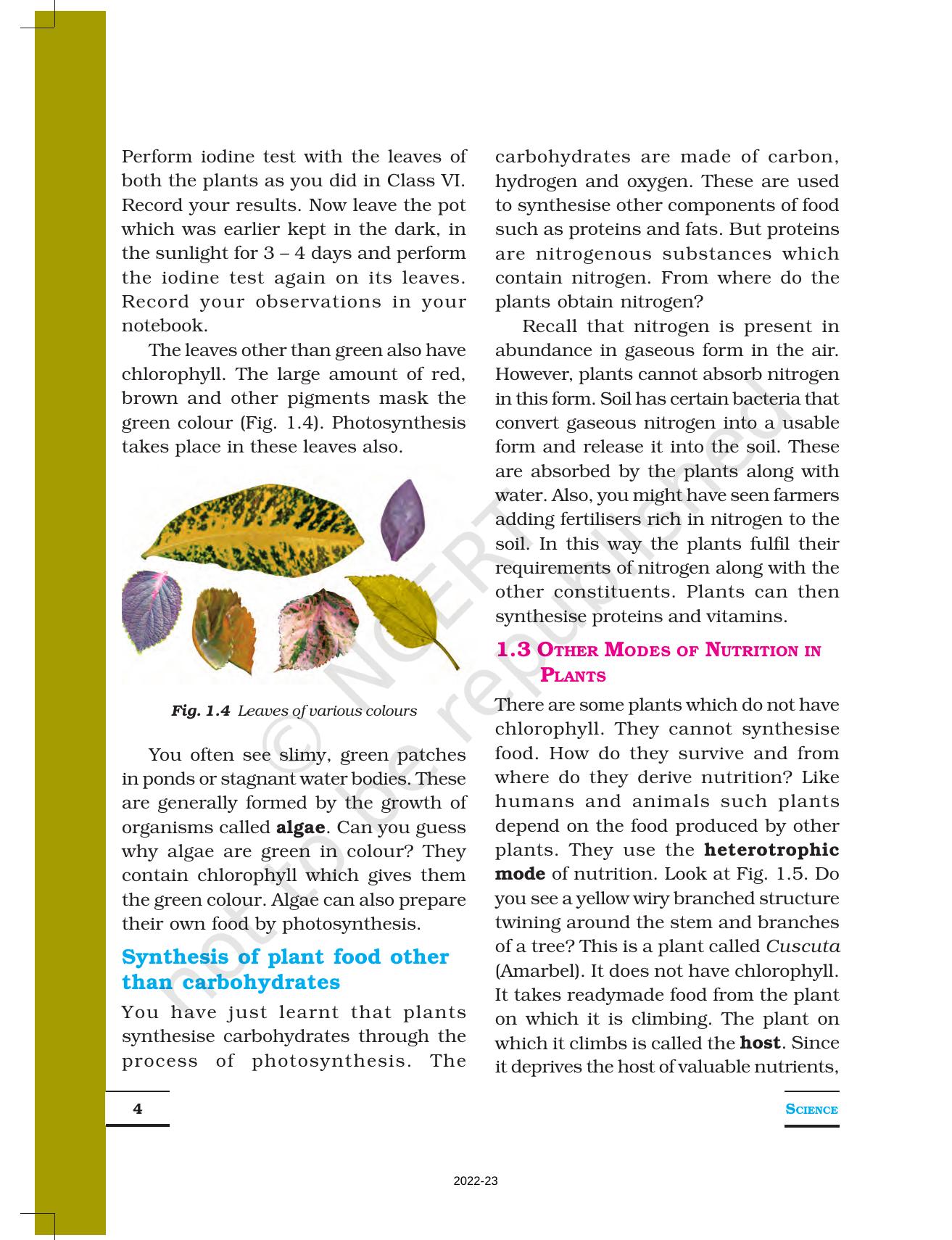 NCERT Book for Class 7 Science: Chapter 1-Nutrition in Plants - Page 4