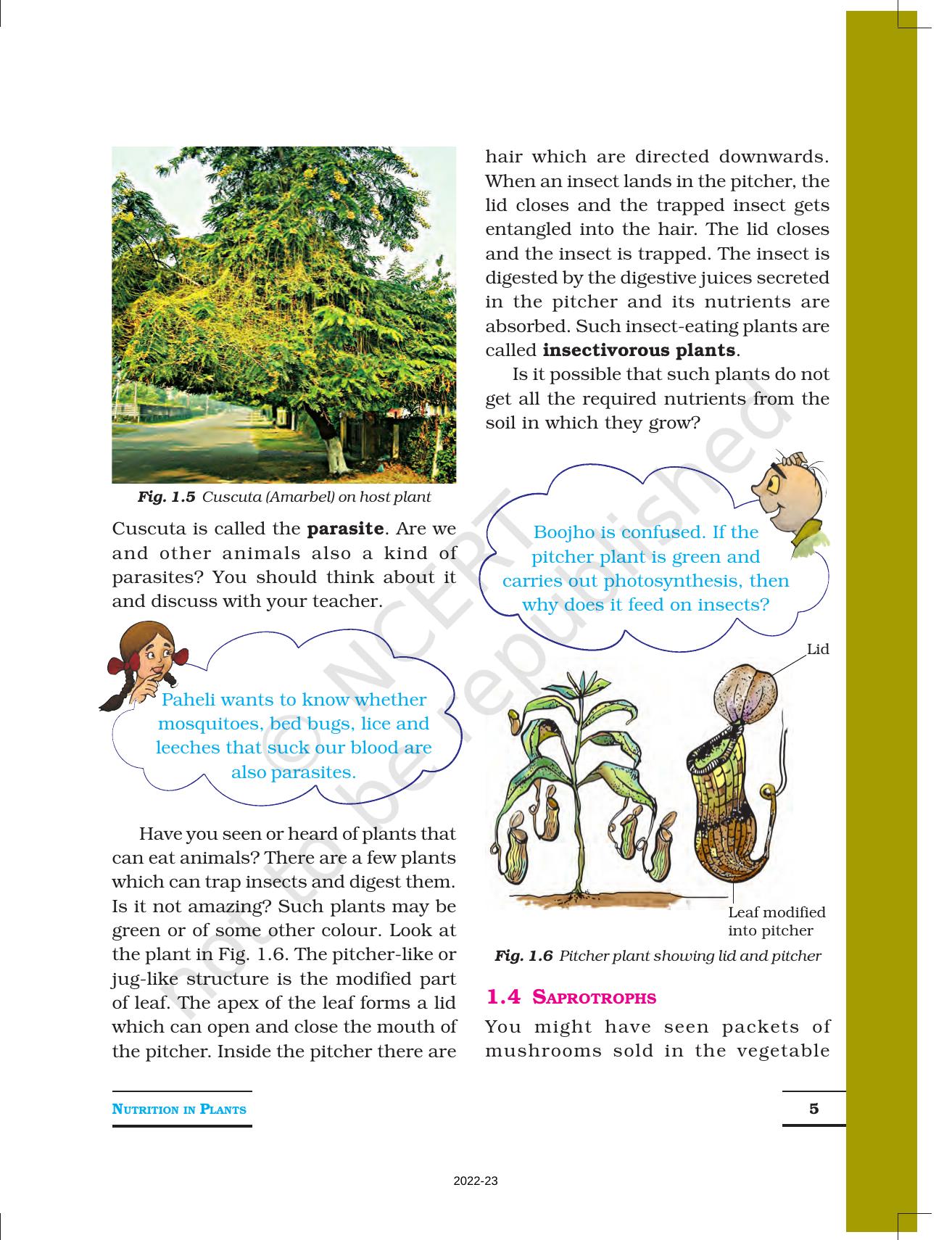 NCERT Book for Class 7 Science: Chapter 1-Nutrition in Plants - Page 5