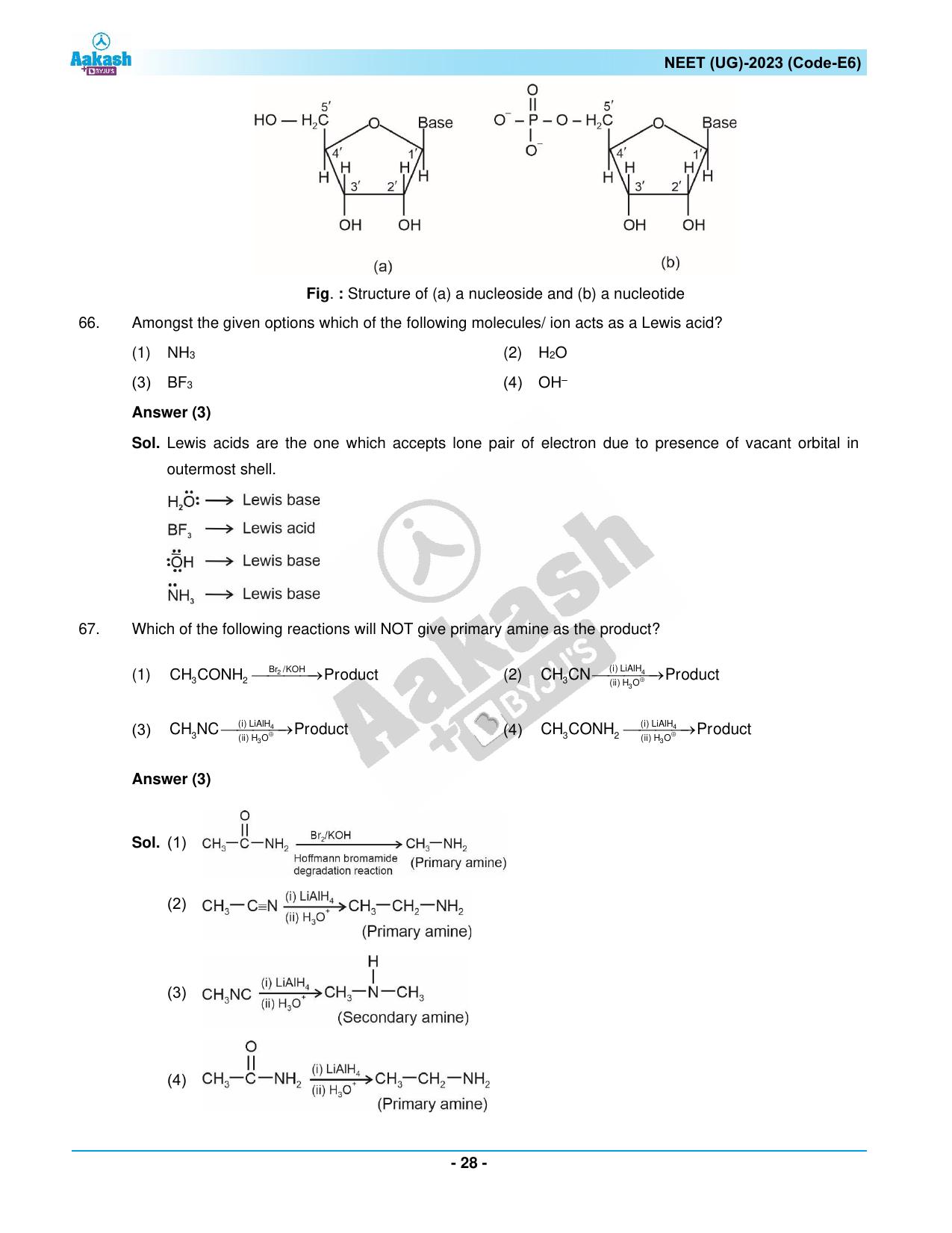 NEET 2023 Question Paper E6 - Page 28