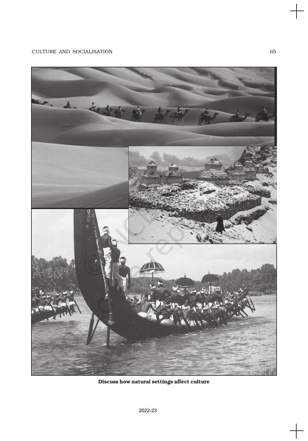 NCERT Book for Class 11 Sociology Chapter 4 Culture