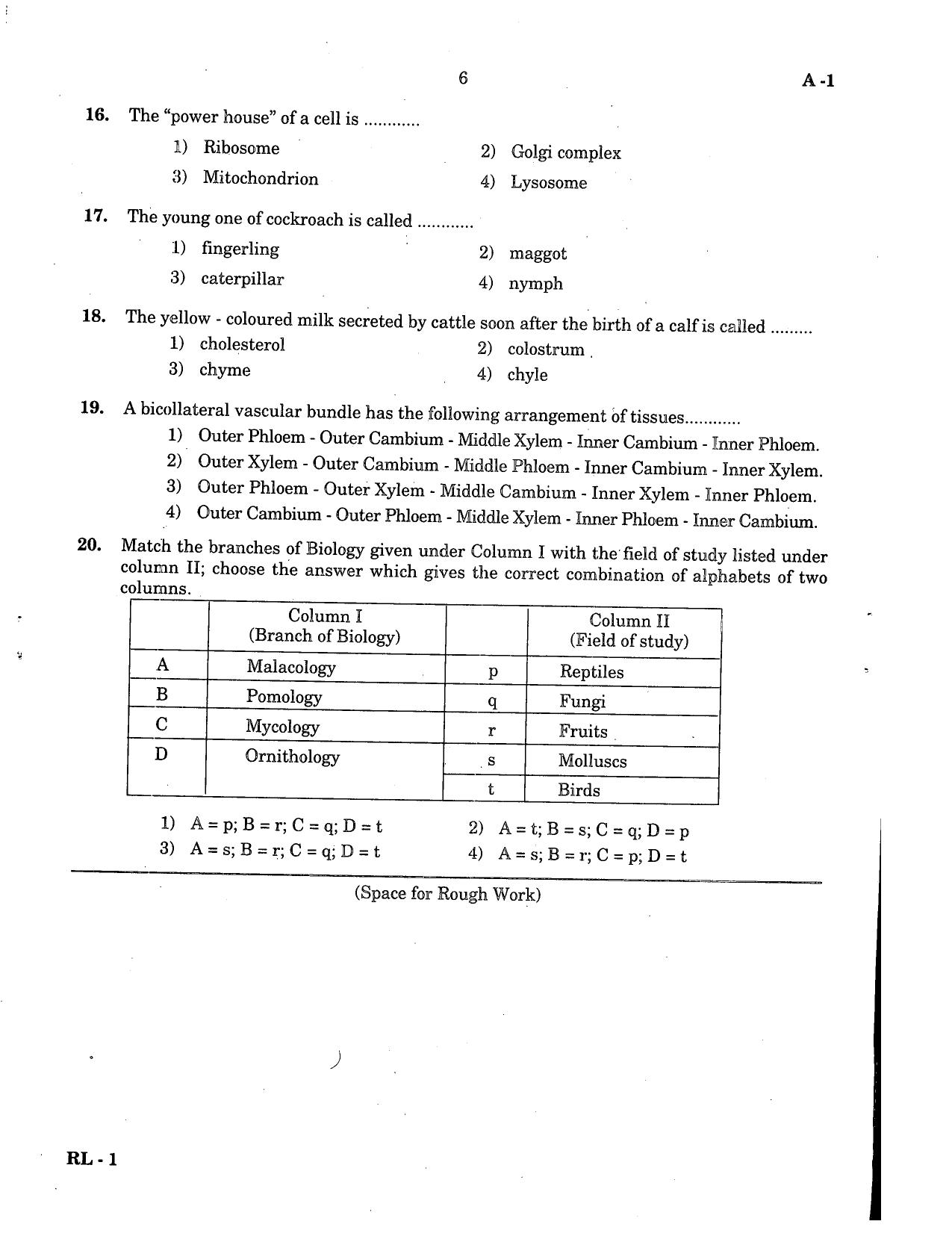 KCET Biology 2004 Question Papers - Page 6