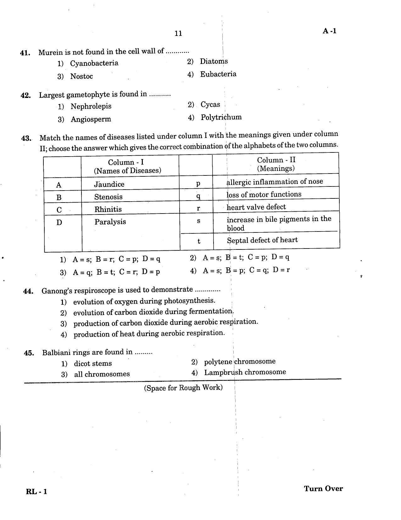 KCET Biology 2004 Question Papers - Page 11