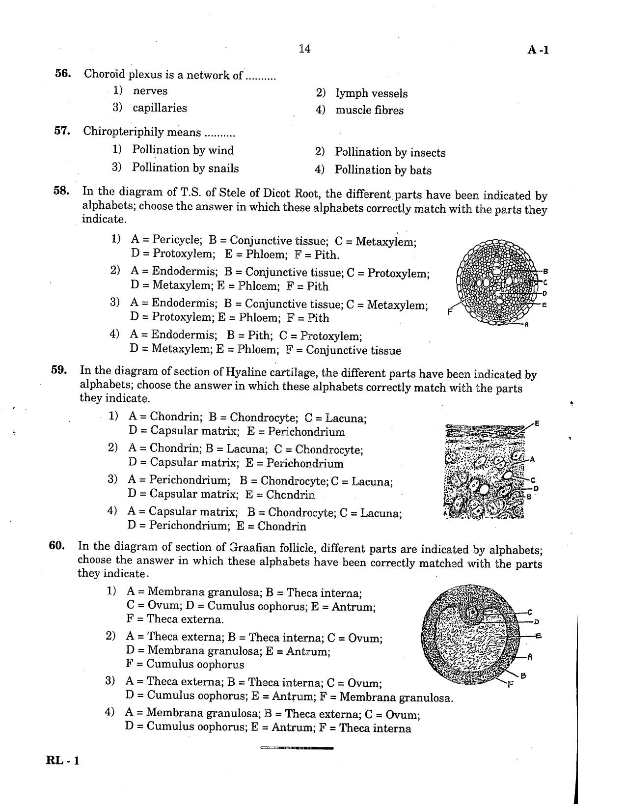 KCET Biology 2004 Question Papers - Page 14