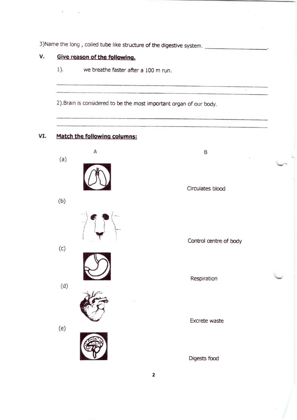 Worksheet for Class 4 Science Inside Your Body Assignment - Page 2