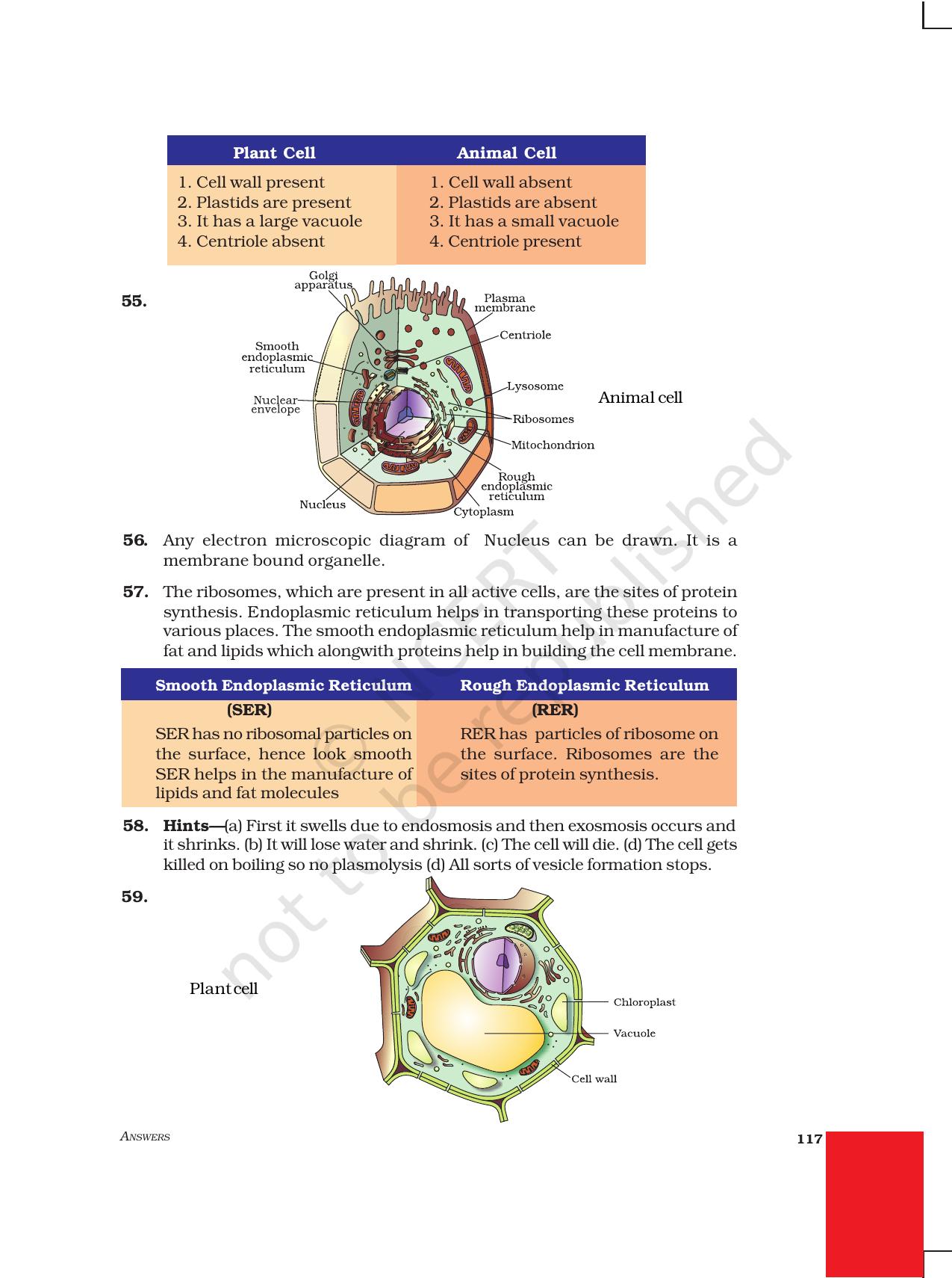 NCERT Exemplar Class 9: Science Asnwers - Page 25