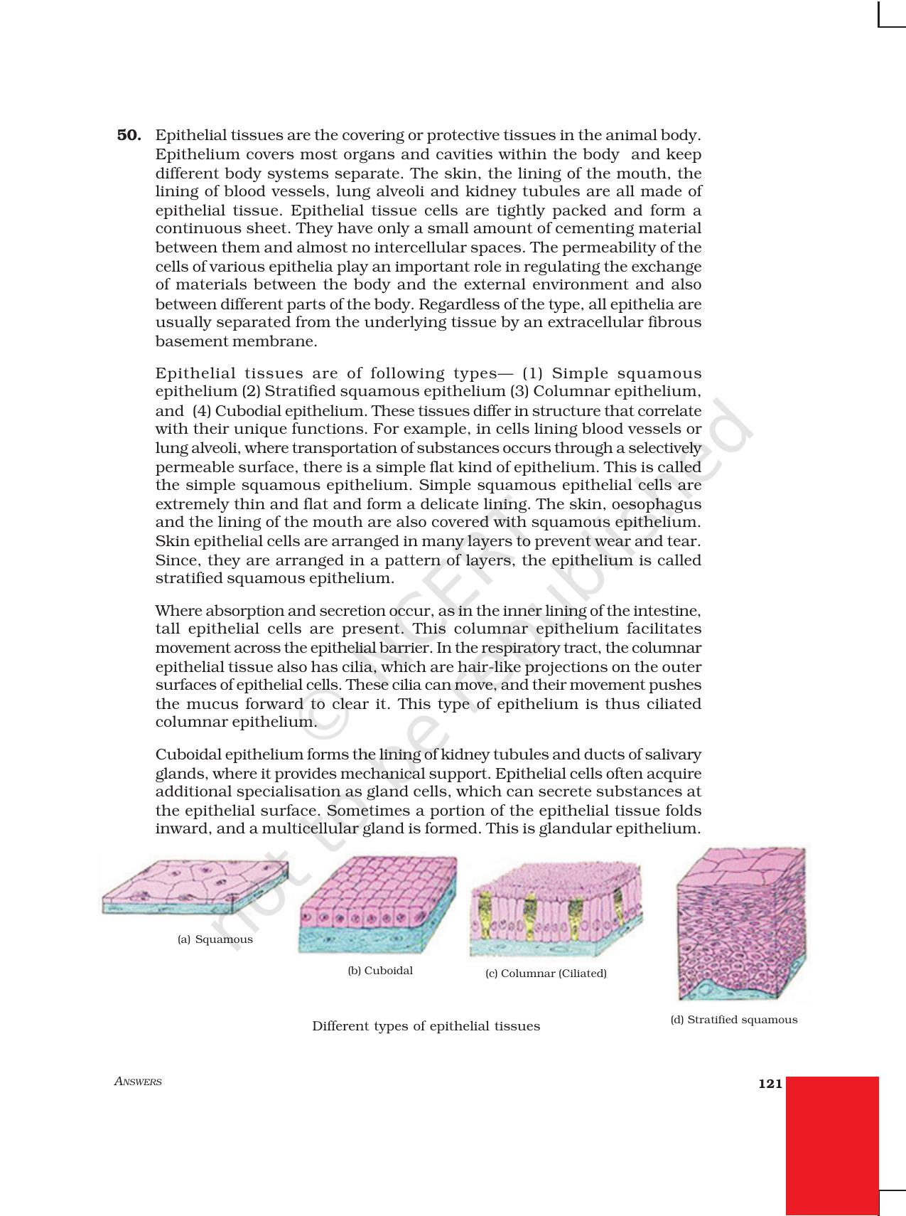 NCERT Exemplar Class 9: Science Asnwers - Page 29
