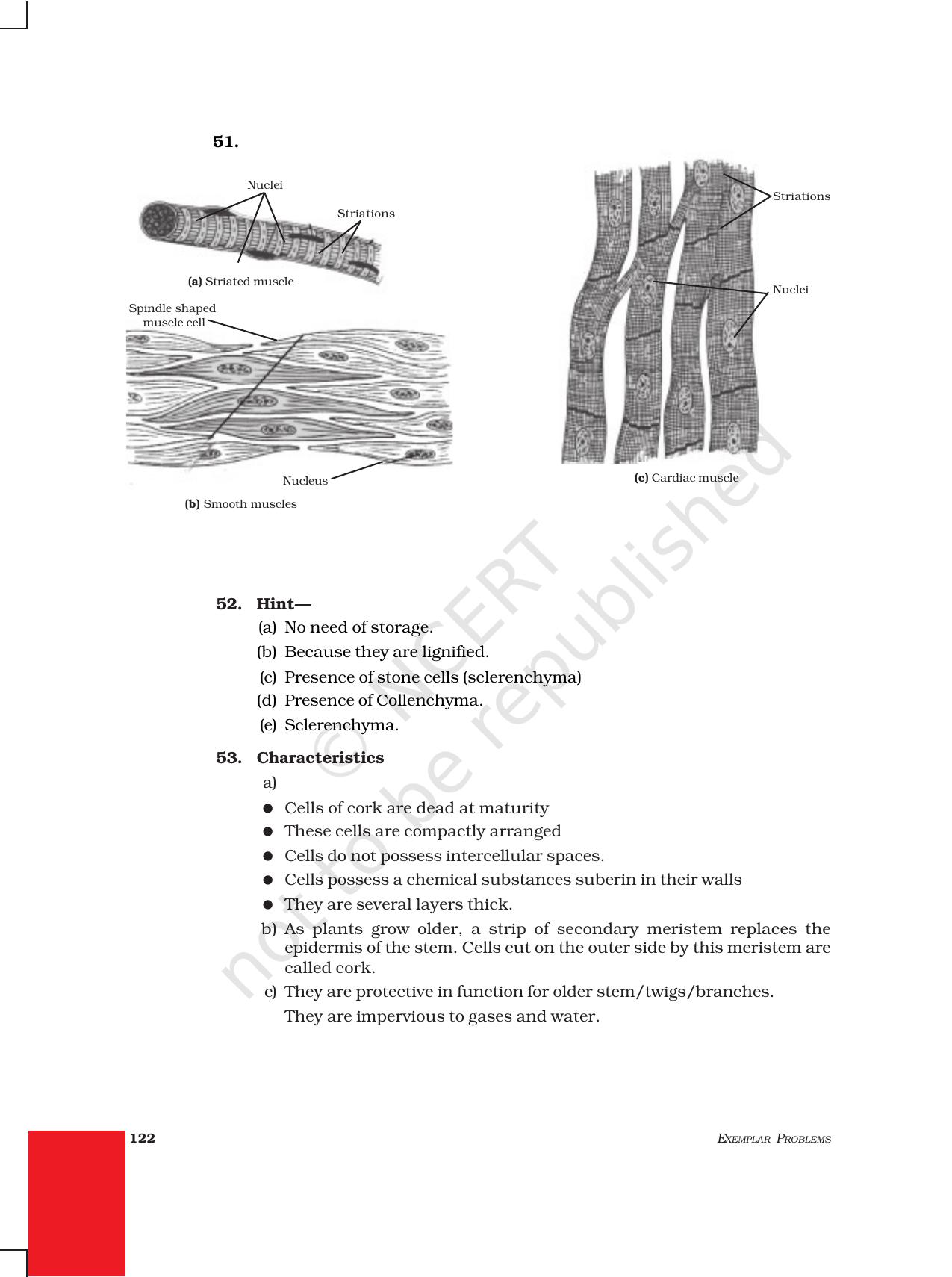 NCERT Exemplar Class 9: Science Asnwers - Page 30