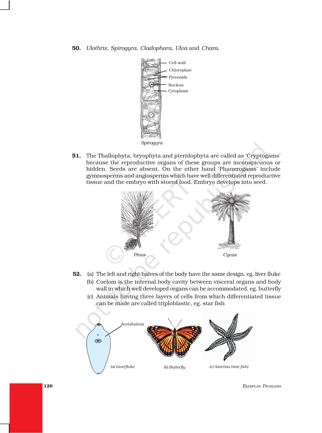 NCERT Exemplar Class 9: Science Asnwers - Page 34