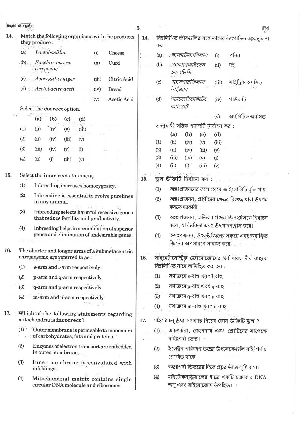 NEET P4 2019 Question Paper - Page 5