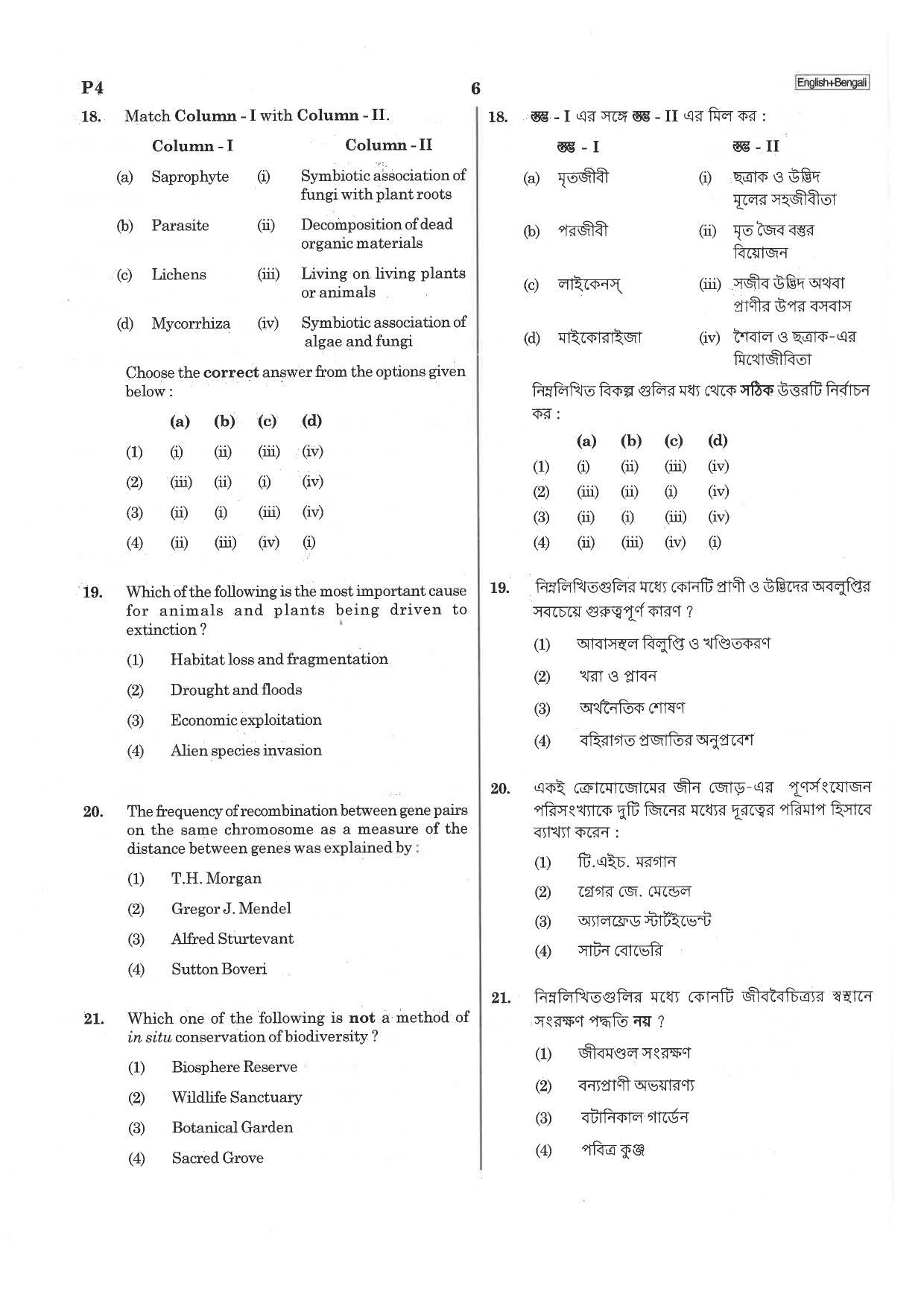 NEET P4 2019 Question Paper - Page 6