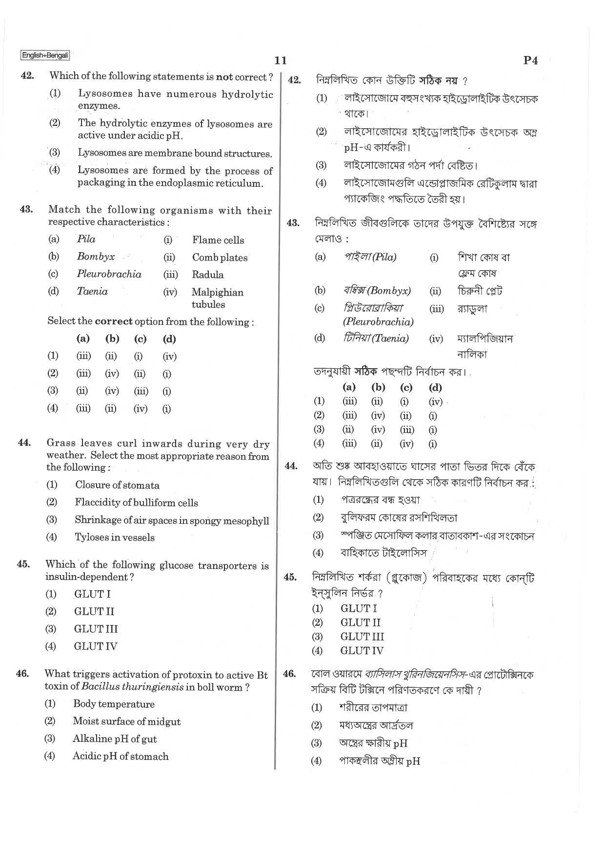 NEET P4 2019 Question Paper - Page 11