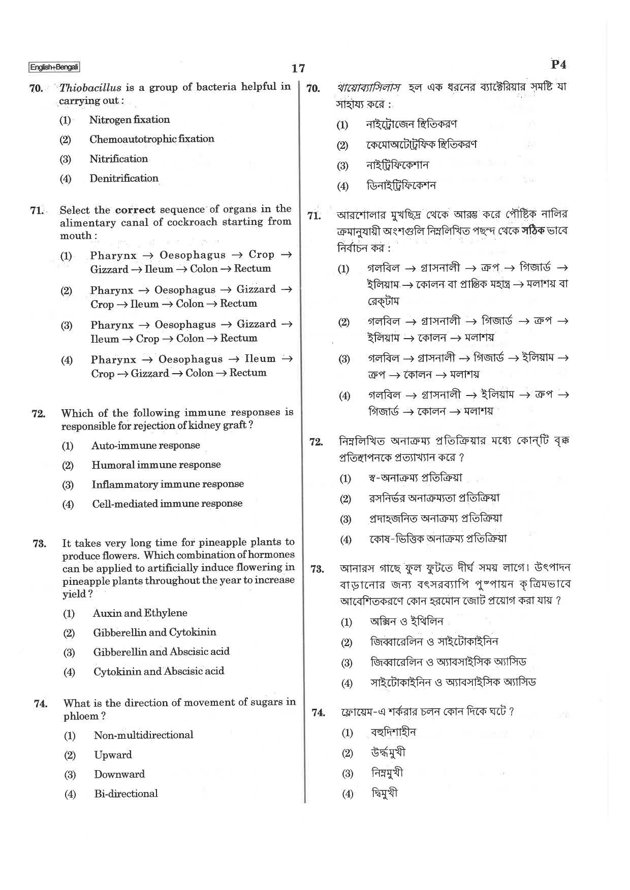 NEET P4 2019 Question Paper - Page 17