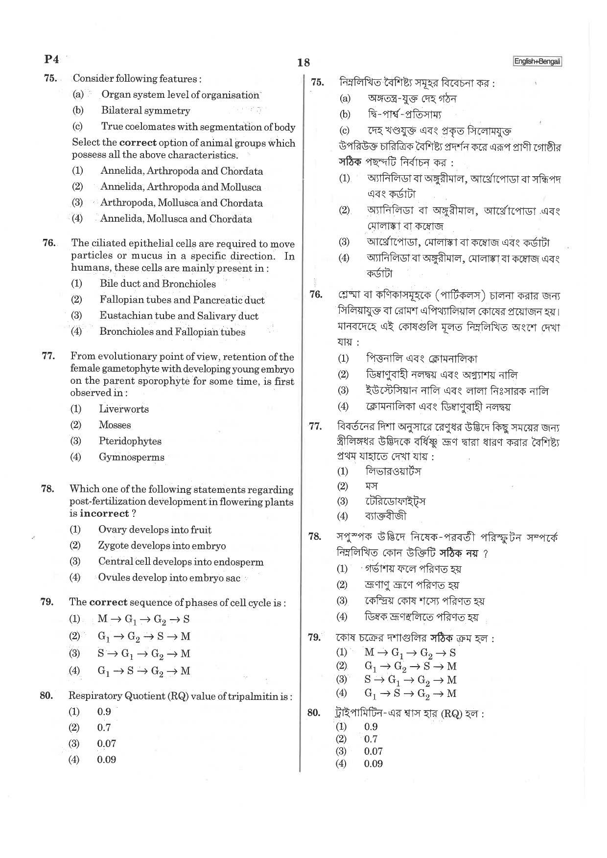 NEET P4 2019 Question Paper - Page 18