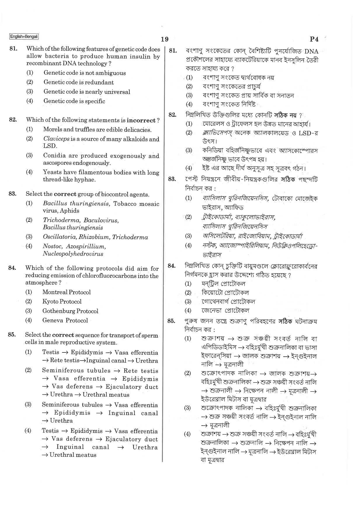 NEET P4 2019 Question Paper - Page 19
