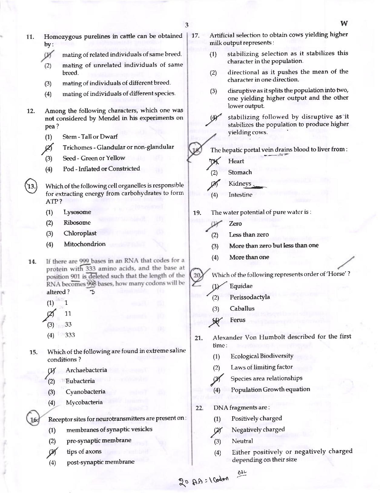 NEET Code W 2017 Question Paper - Page 3