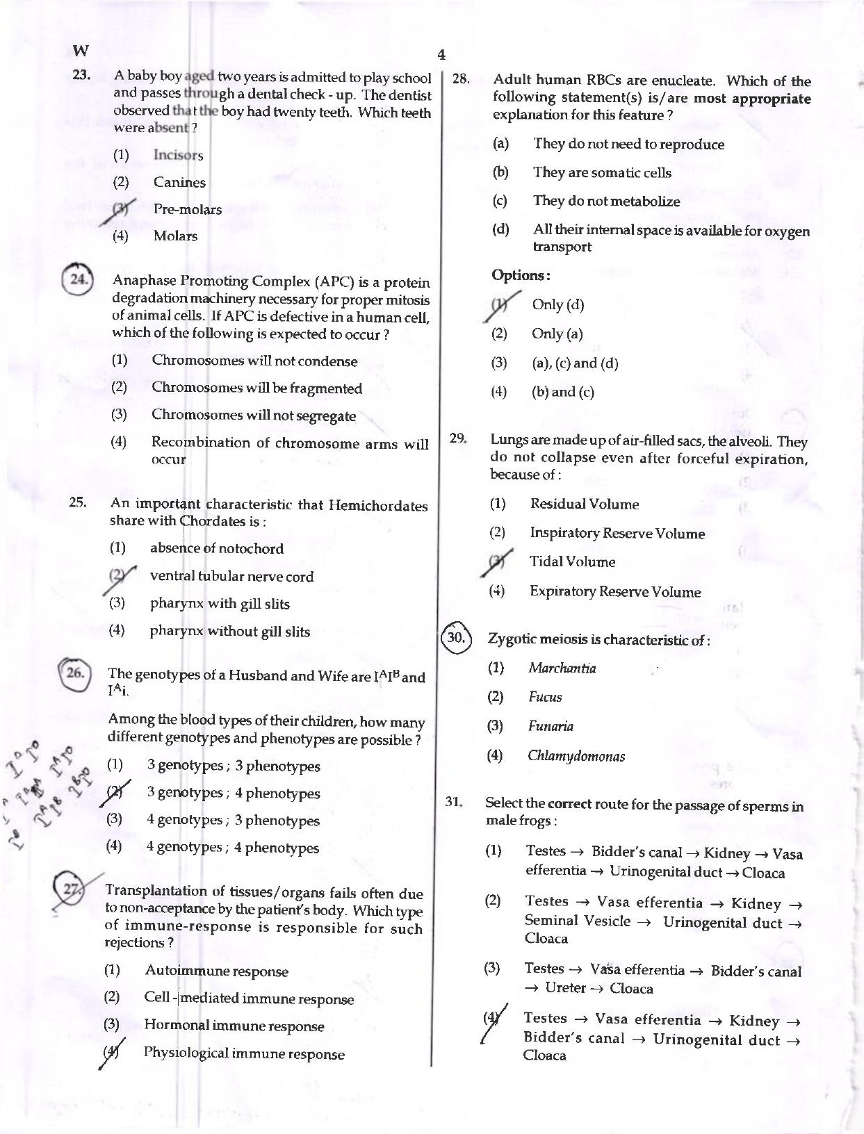 NEET Code W 2017 Question Paper - Page 4