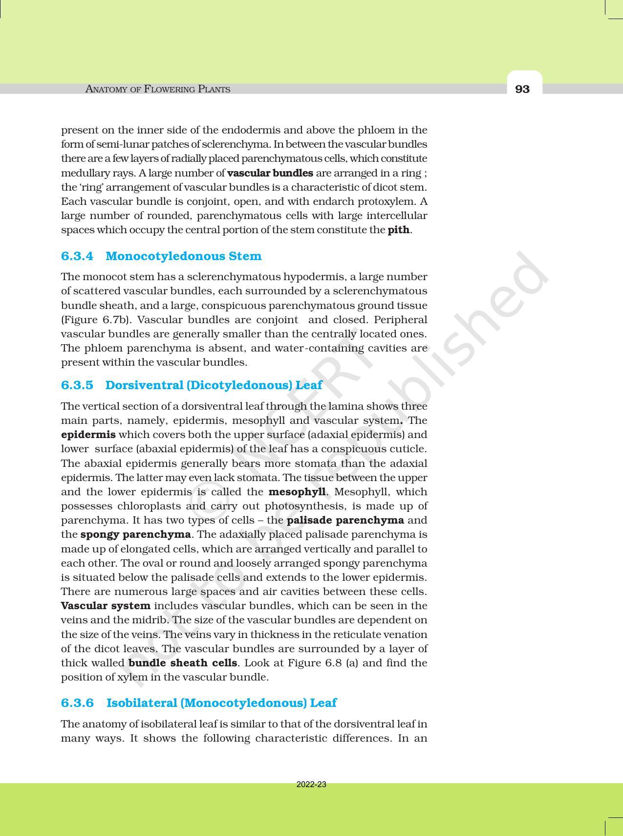 NCERT Book for Class 11 Biology Chapter 6 Anatomy of Flowering Plants - Page 10