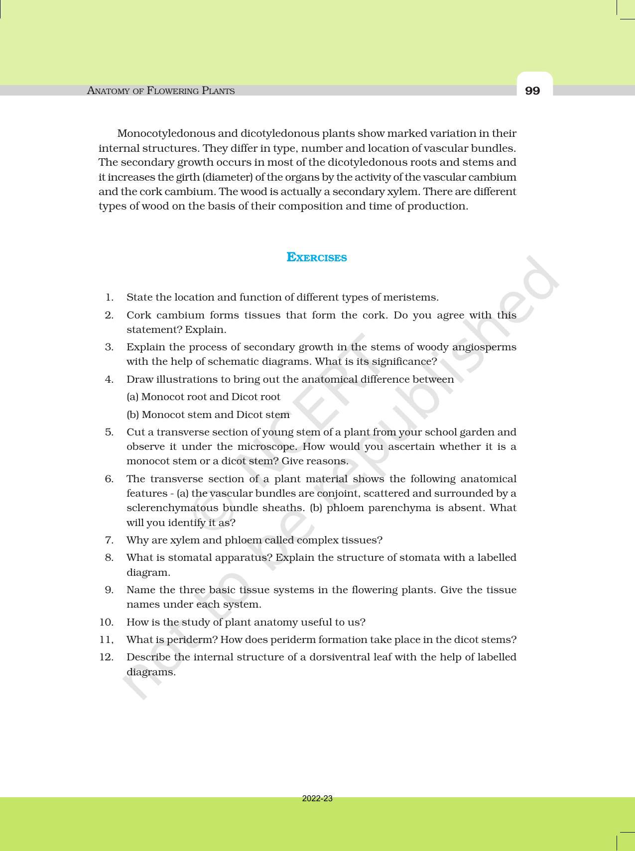 NCERT Book for Class 11 Biology Chapter 6 Anatomy of Flowering Plants - Page 16