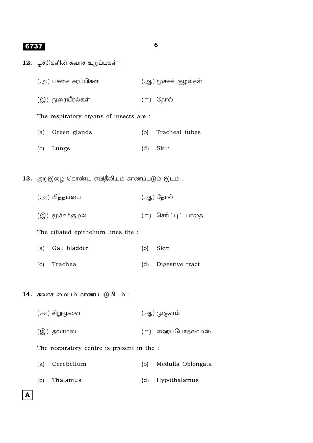 TN Class 11 2023 Question Papers (All Subjects) - Page 78