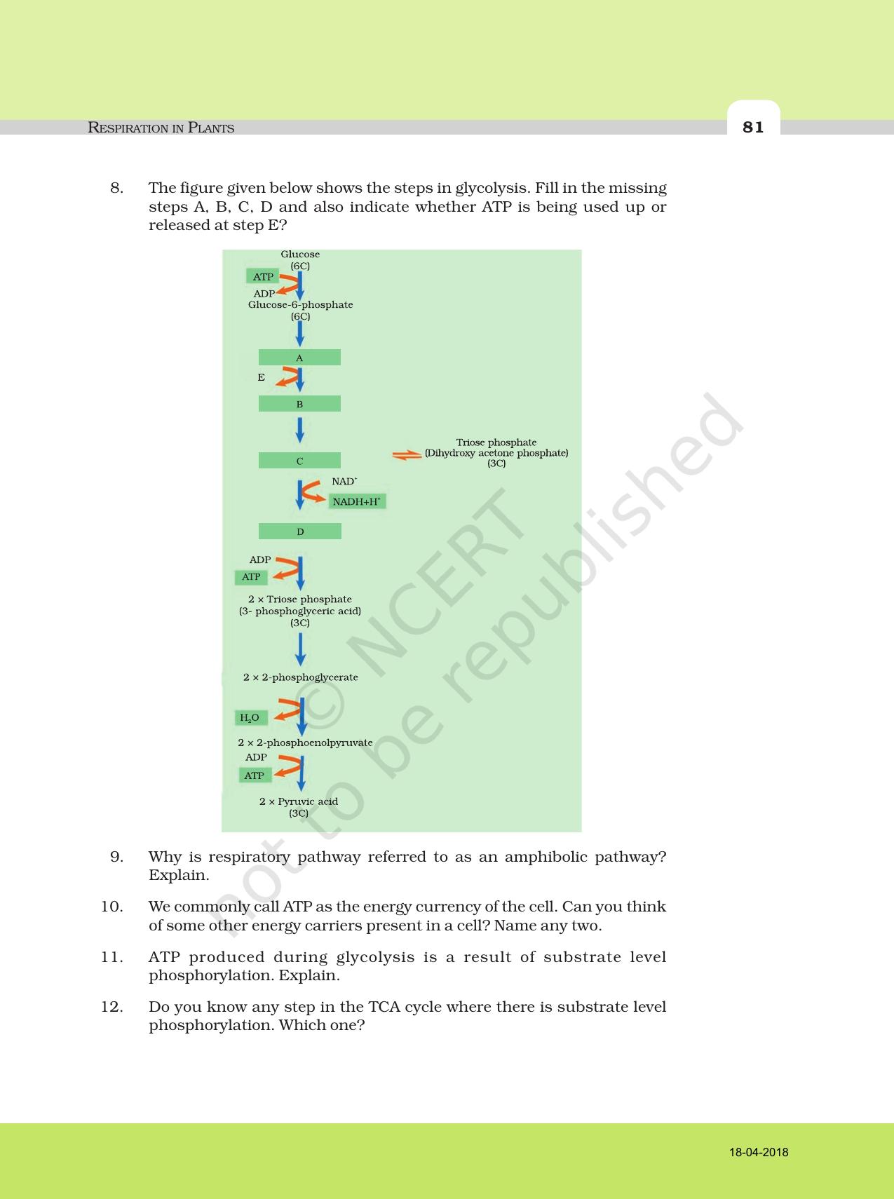 NCERT Exemplar Book for Class 11 Biology: Chapter 14 Respiration in Plants - Page 5