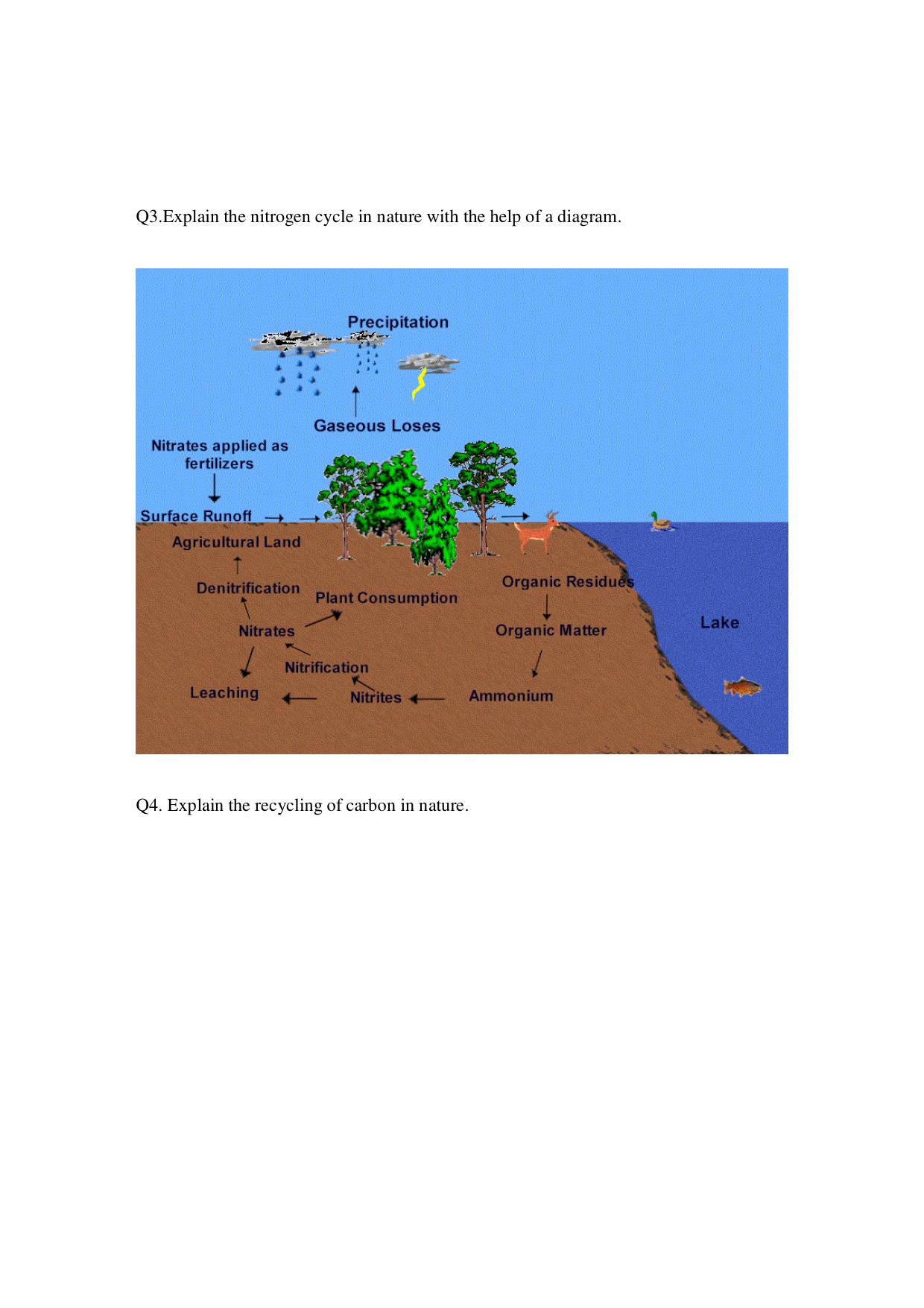 CBSE Worksheets for Class 9 Biology Natural Resources Assignment 2 - Page 2