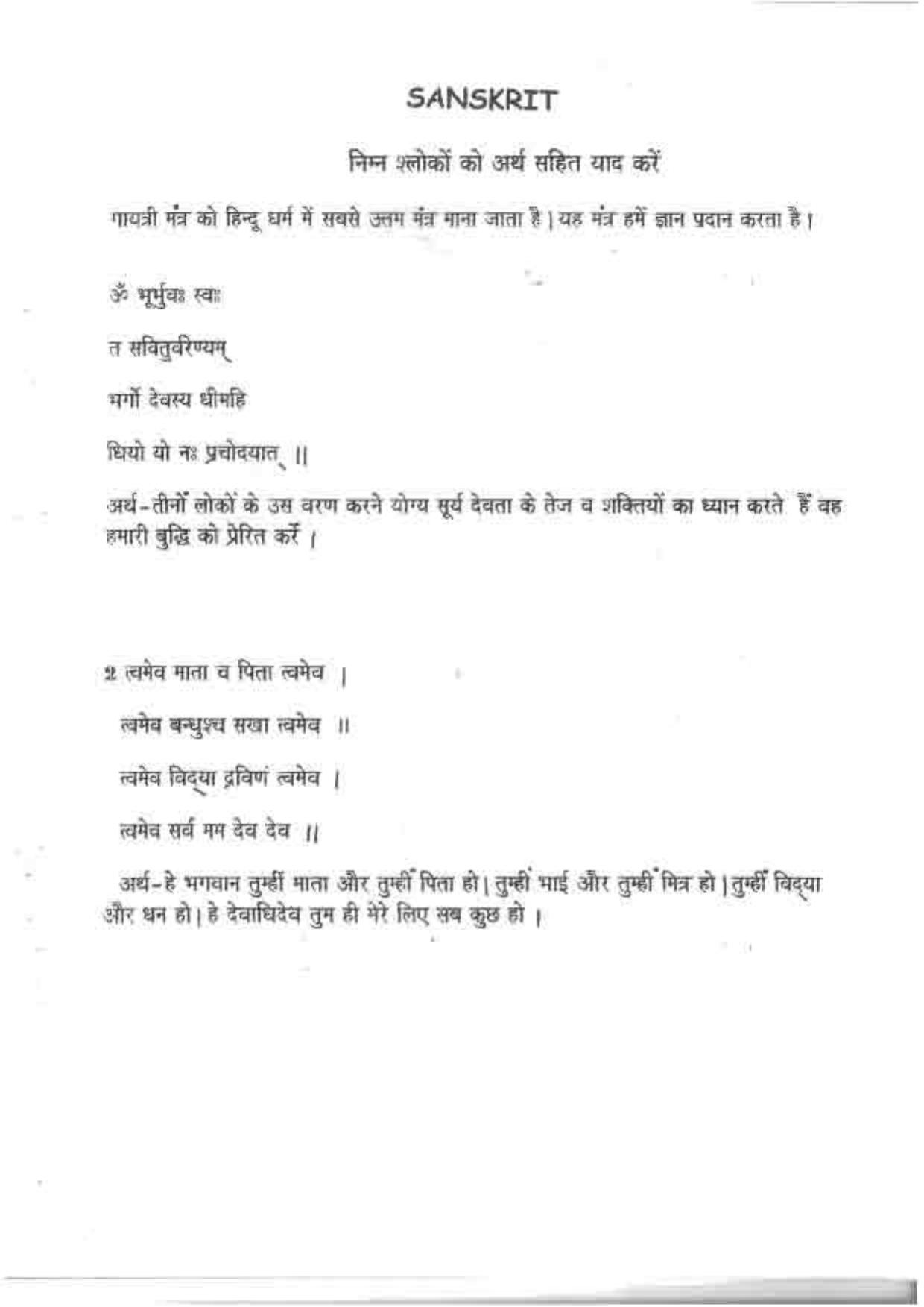 Worksheet for Class 5 English Assignment 56 - Page 29