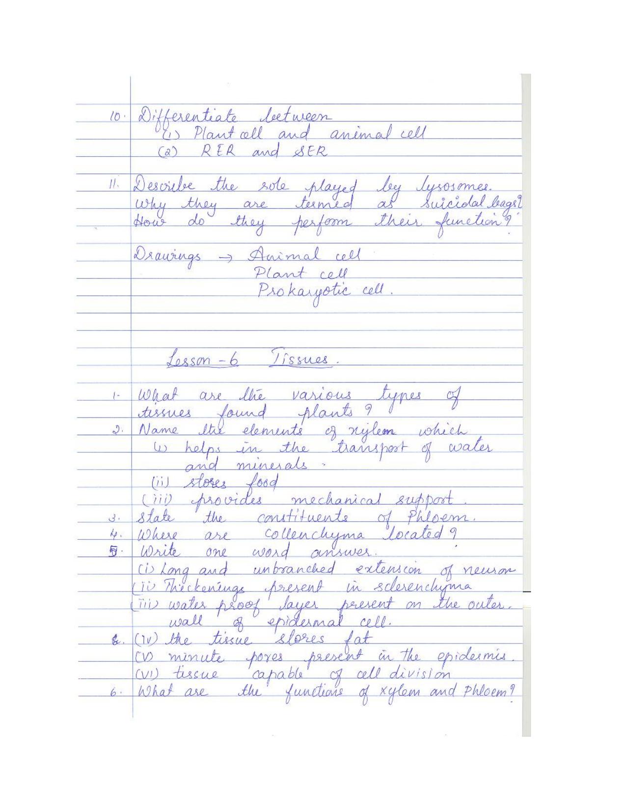 CBSE Worksheets for Class 9 Biology The Fundamental Unit of Life Assignment 3 - Page 2