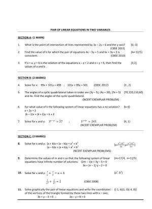 CBSE Worksheets for Class 10 Maths Linear Equations Assignment 10