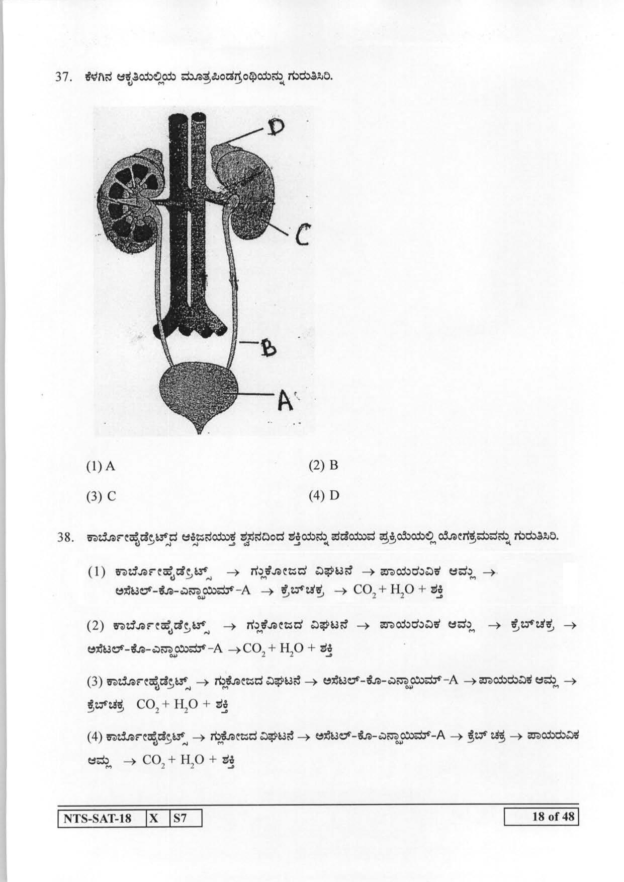 Maharashtra NTSE 2019 SAT (Kannada) Question Paper - Page 18
