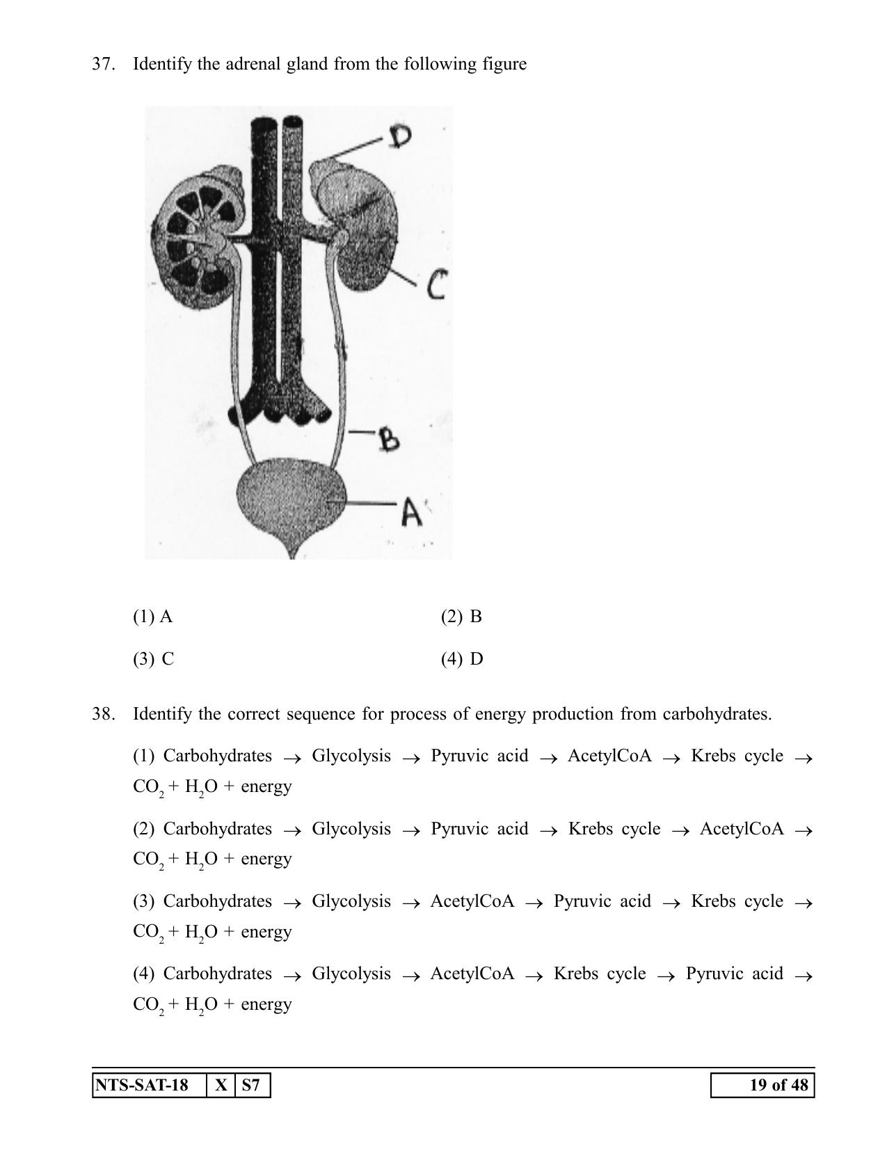 Maharashtra NTSE 2019 SAT (Kannada) Question Paper - Page 19