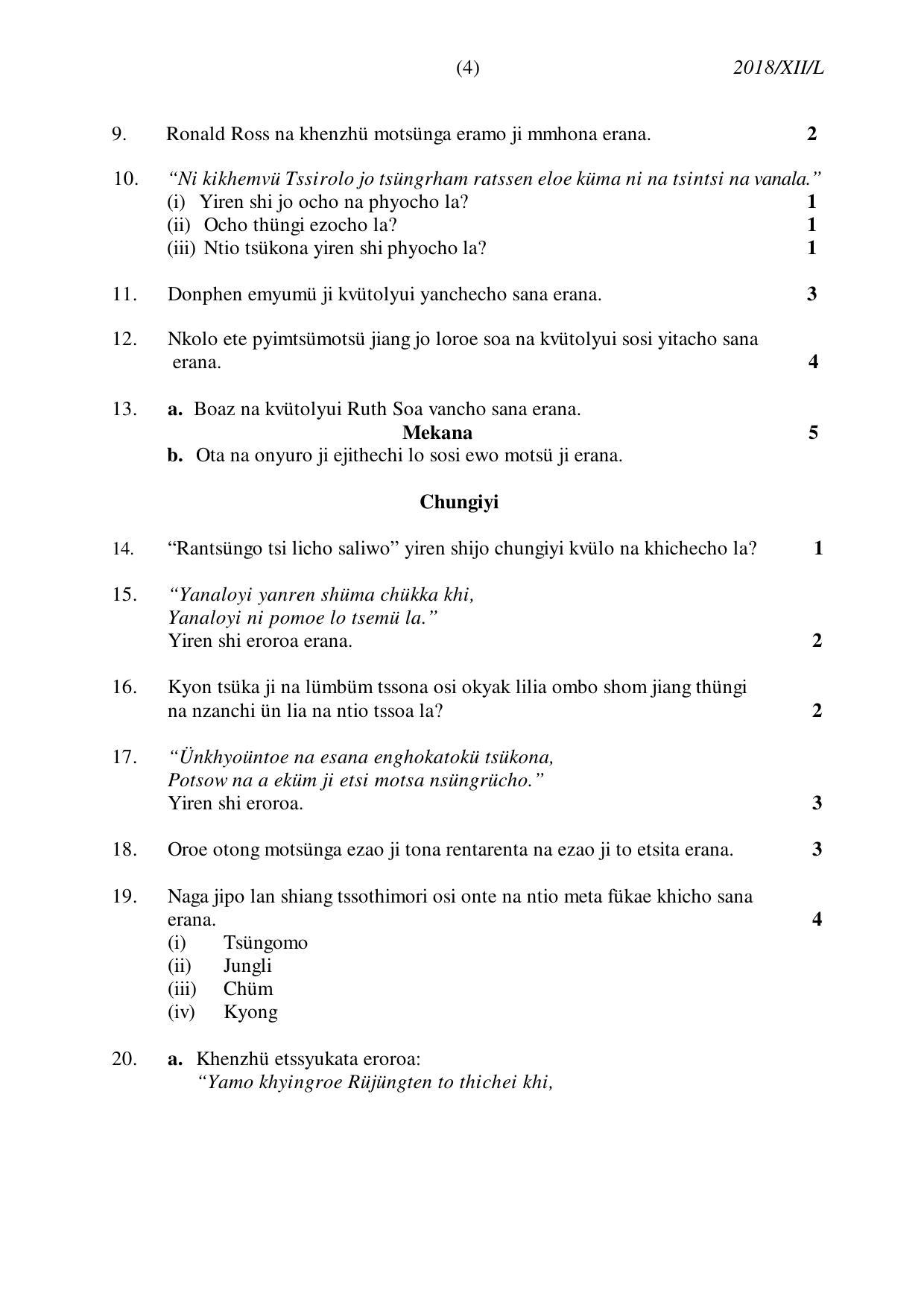 Nagaland Board Class 12 LOTHA 2018 Question Papers - Page 4