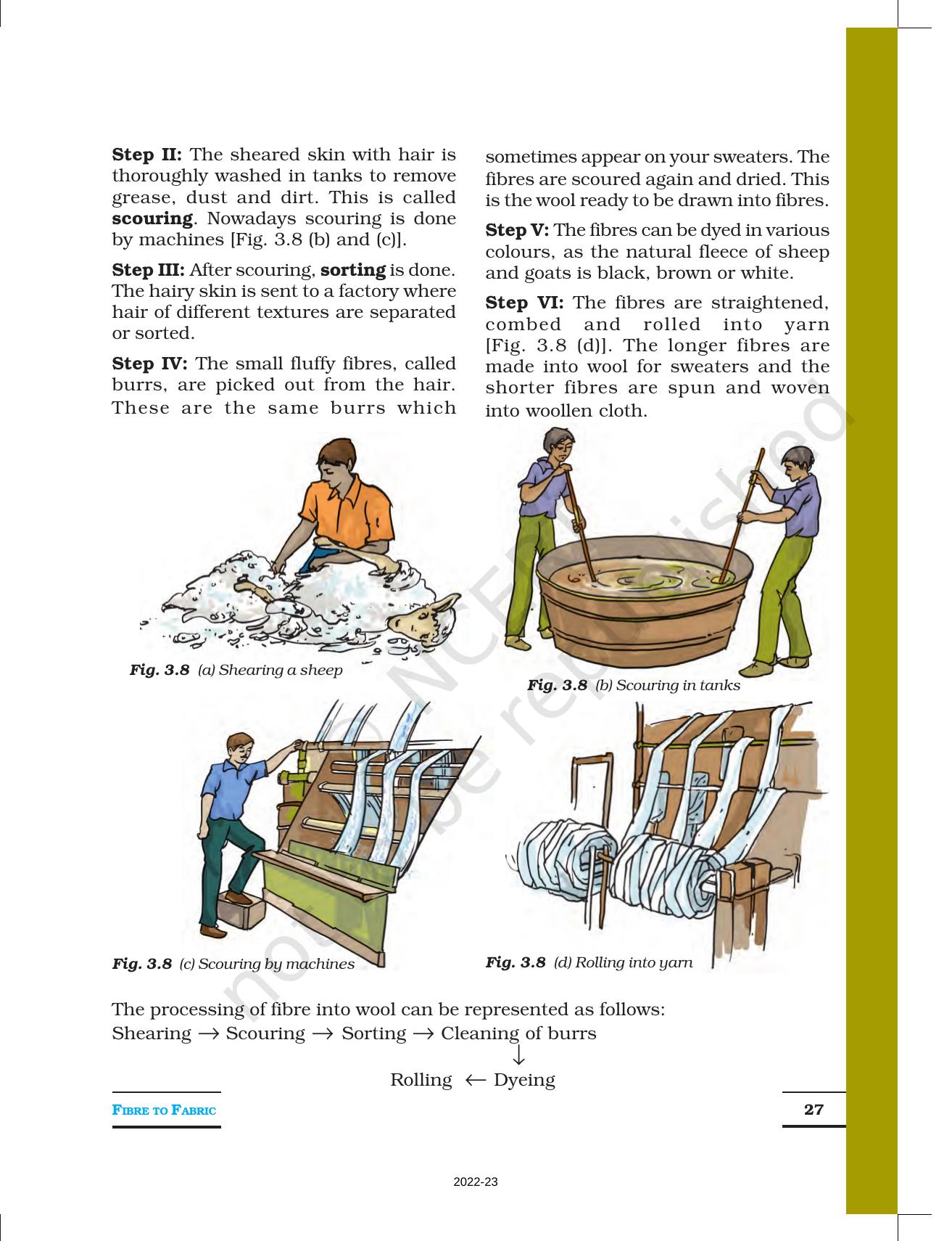 NCERT Book for Class 7 Science: Chapter 3-Fibre to Fabric - Page 4