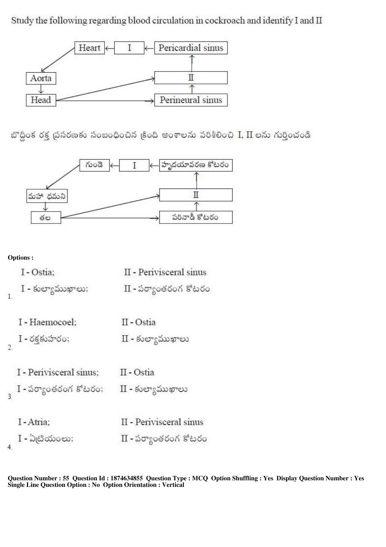 TS EAMCET 2019 Agriculture and Medical Question Paper with Key (23 April 2019 Afternoon) - Page 53