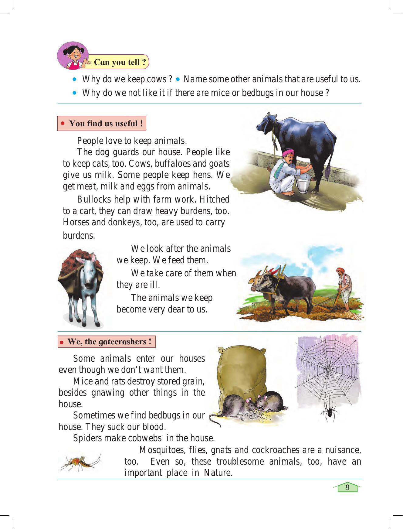 Maharashtra Board Class 3 Environmental Studies Textbook - Page 19