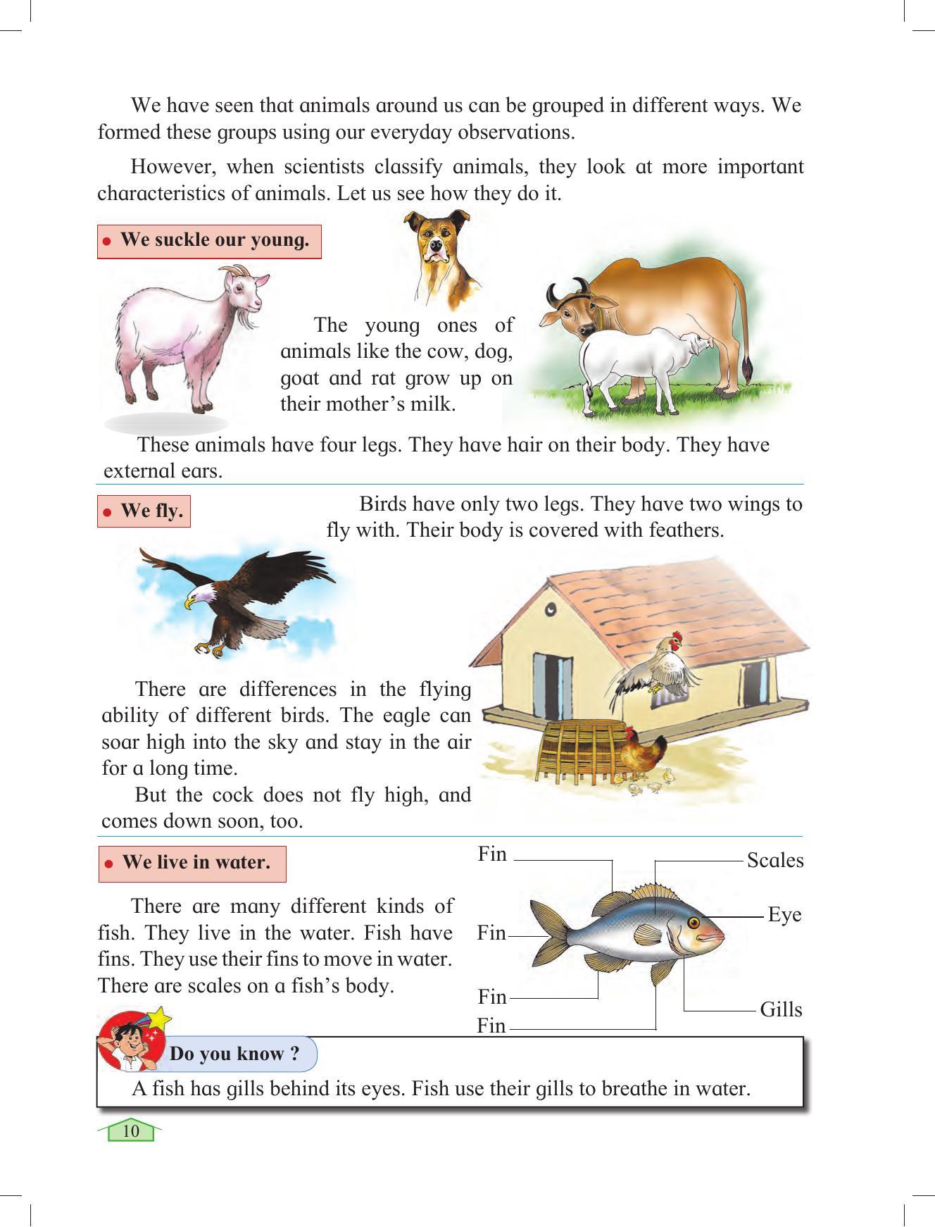 Maharashtra Board Class 3 Environmental Studies Textbook - Page 20